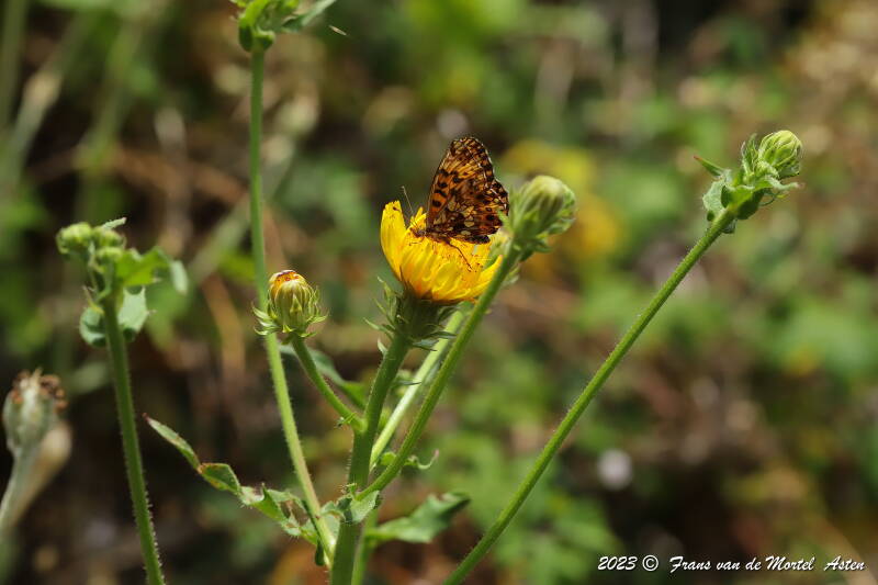St. Julien-du-Gua,  FR, 2023