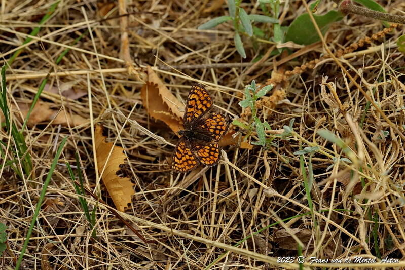 St. Julien-du-Gua,  FR, 2023