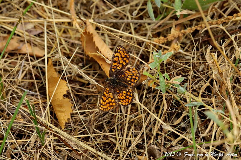 St. Julien-du-Gua,  FR, 2023