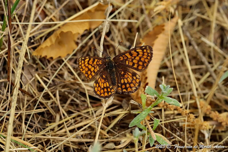 St. Julien-du-Gua,  FR, 2023