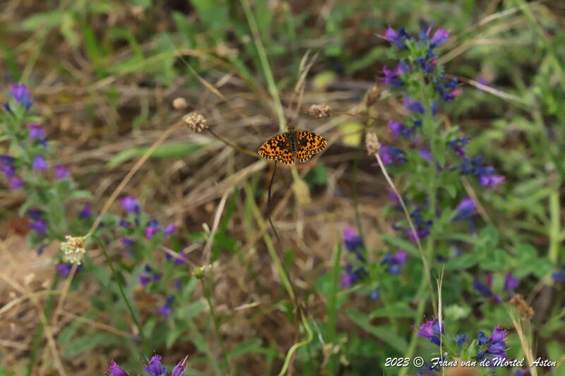 St. Julien-du-Gua,  FR, 2023