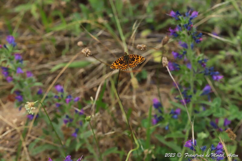 St. Julien-du-Gua,  FR, 2023