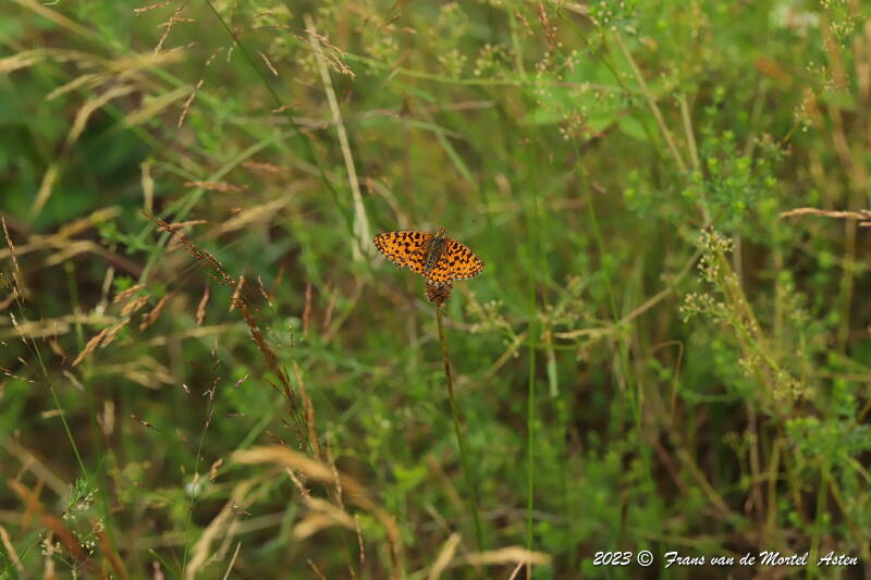 St. Julien-du-Gua,  FR, 2023