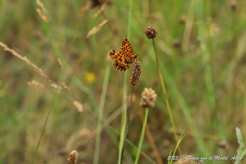 St. Julien-du-Gua,  FR, 2023
