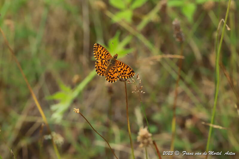St. Julien-du-Gua,  FR, 2023