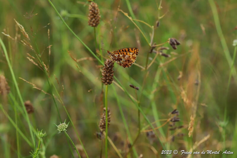 St. Julien-du-Gua,  FR, 2023
