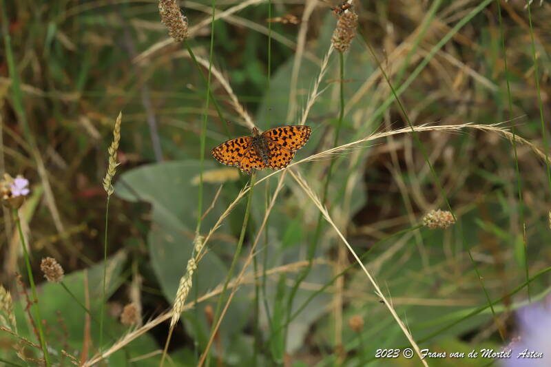 St. Julien-du-Gua,  FR, 2023