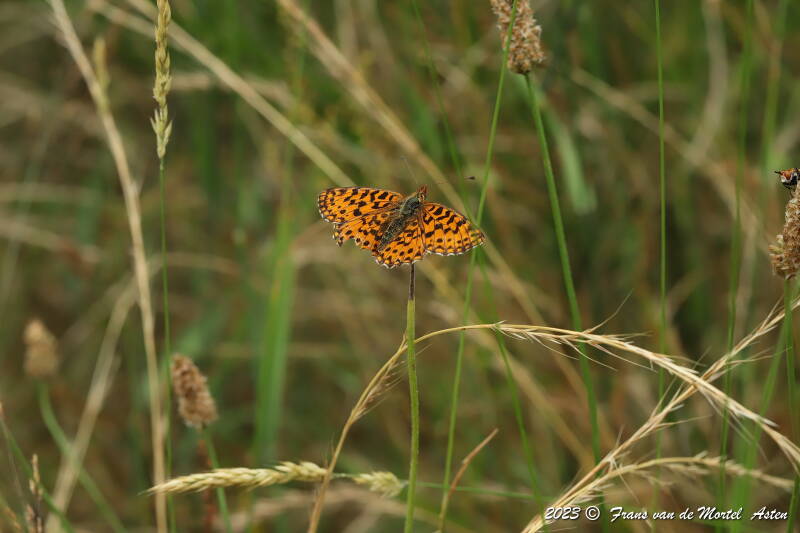 St. Julien-du-Gua,  FR, 2023