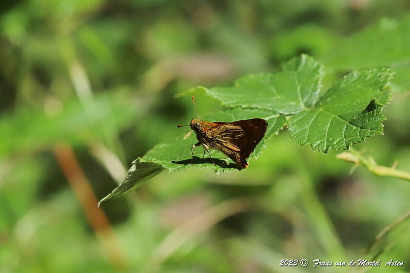 Pouligny- St. Pierre - Linge,  FR, 2023