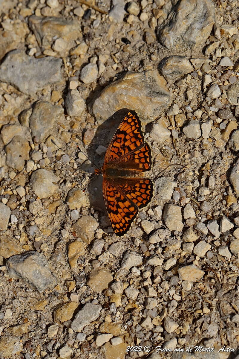 Rosnay – Linge, FR, 2023