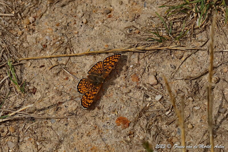 Rosnay – Linge, FR, 2023