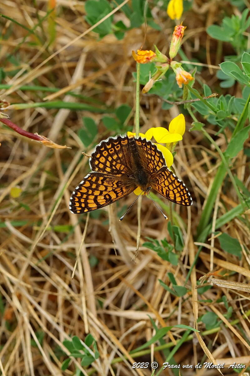 Rosnay – Linge, FR, 2023