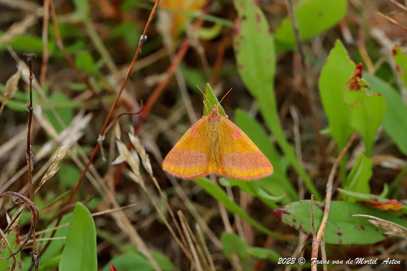 Soerendonk, NL, 2023