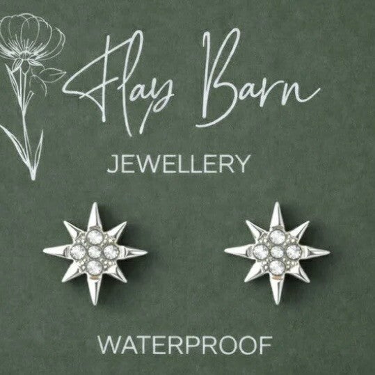 Silver Star Zirconia Earrings