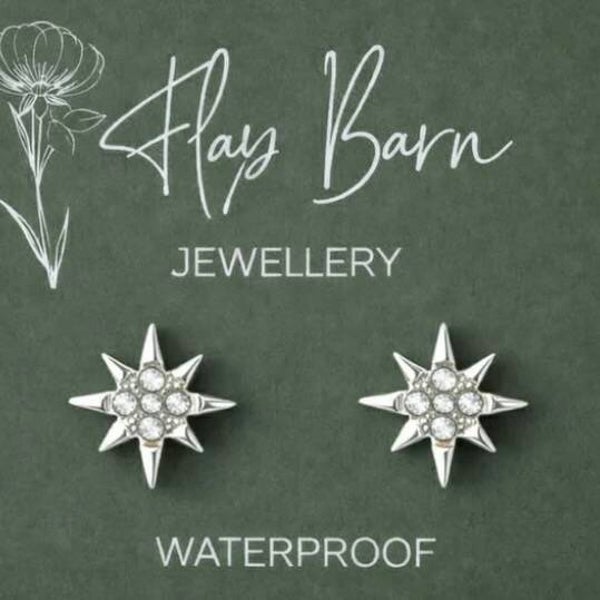 Silver Star Zirconia Earrings