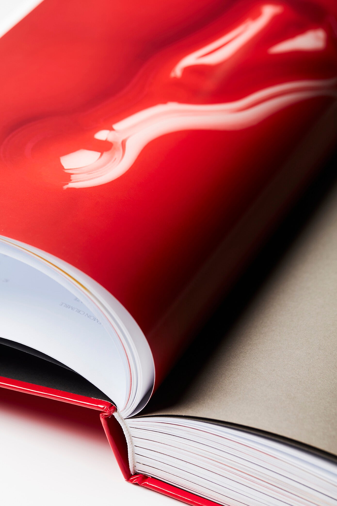 WHIP Frank Haasnoot Shop