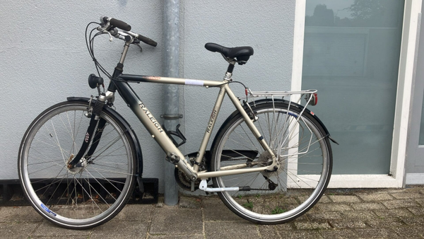 Raleigh Raven