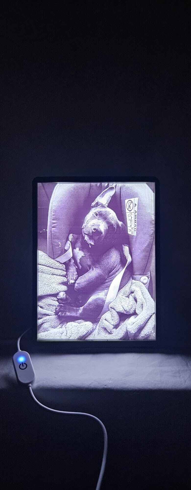 Gepersonaliseerde lithofaan kader (Groot 15 op 20 cm)