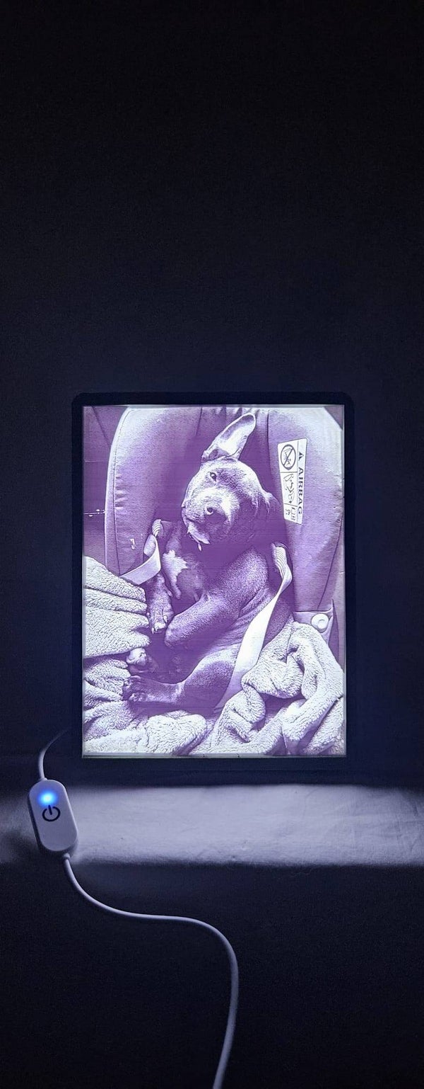 Gepersonaliseerde lithofaan kader (Groot 15 op 20 cm)