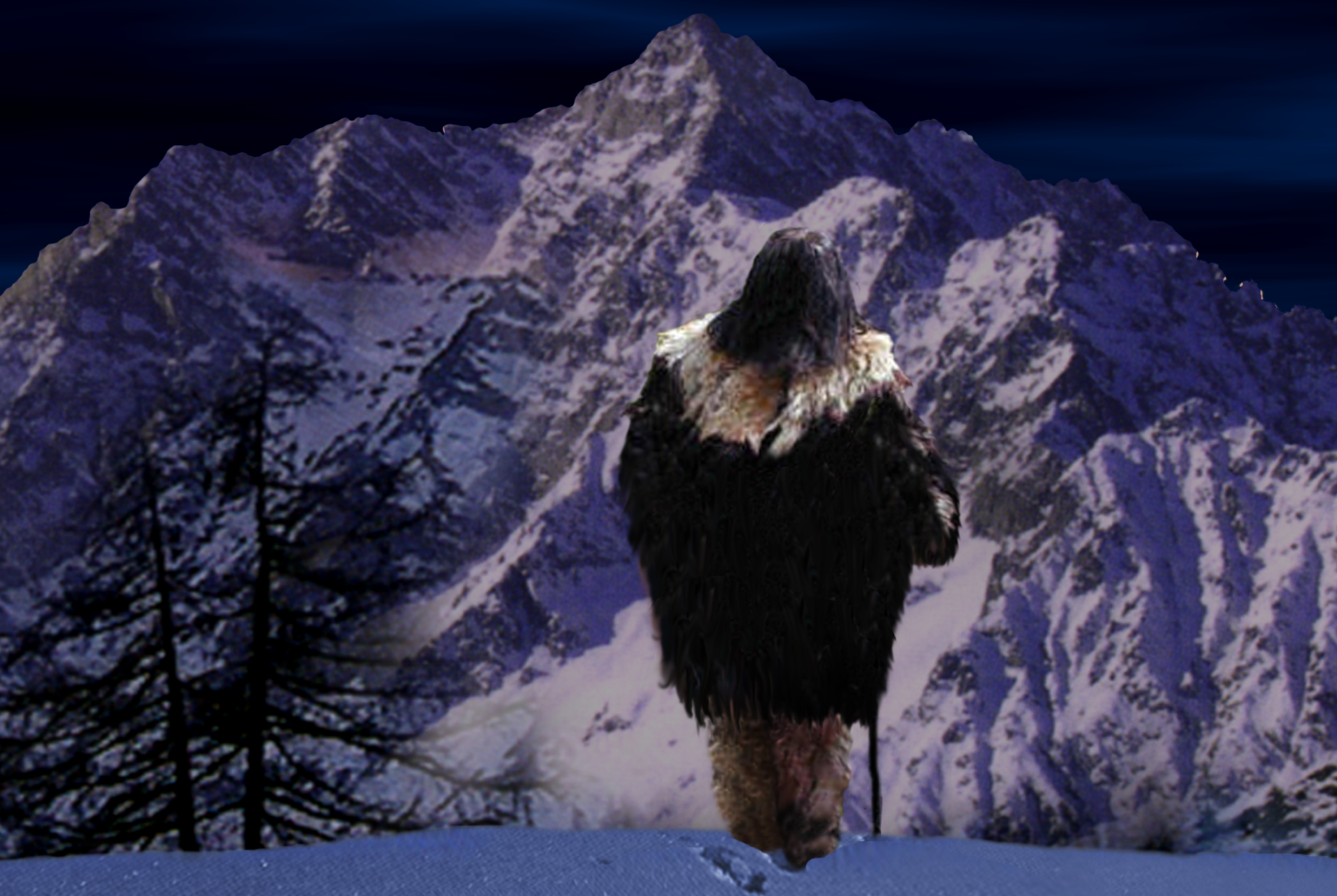 holzomono libro zaretti