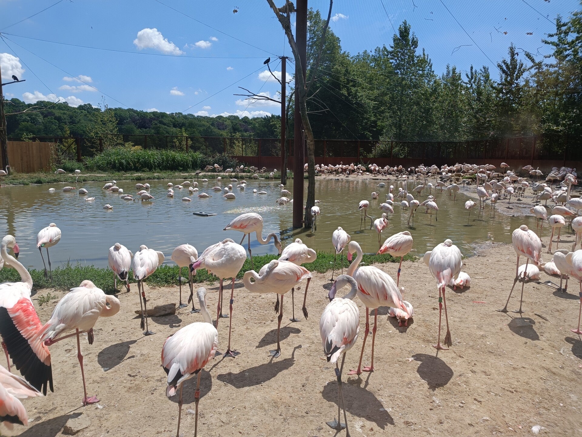 Gaiazoo Kerkrade 