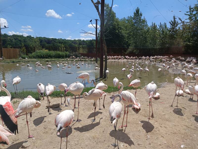 GaiaZOO Kerkrade dierentuin