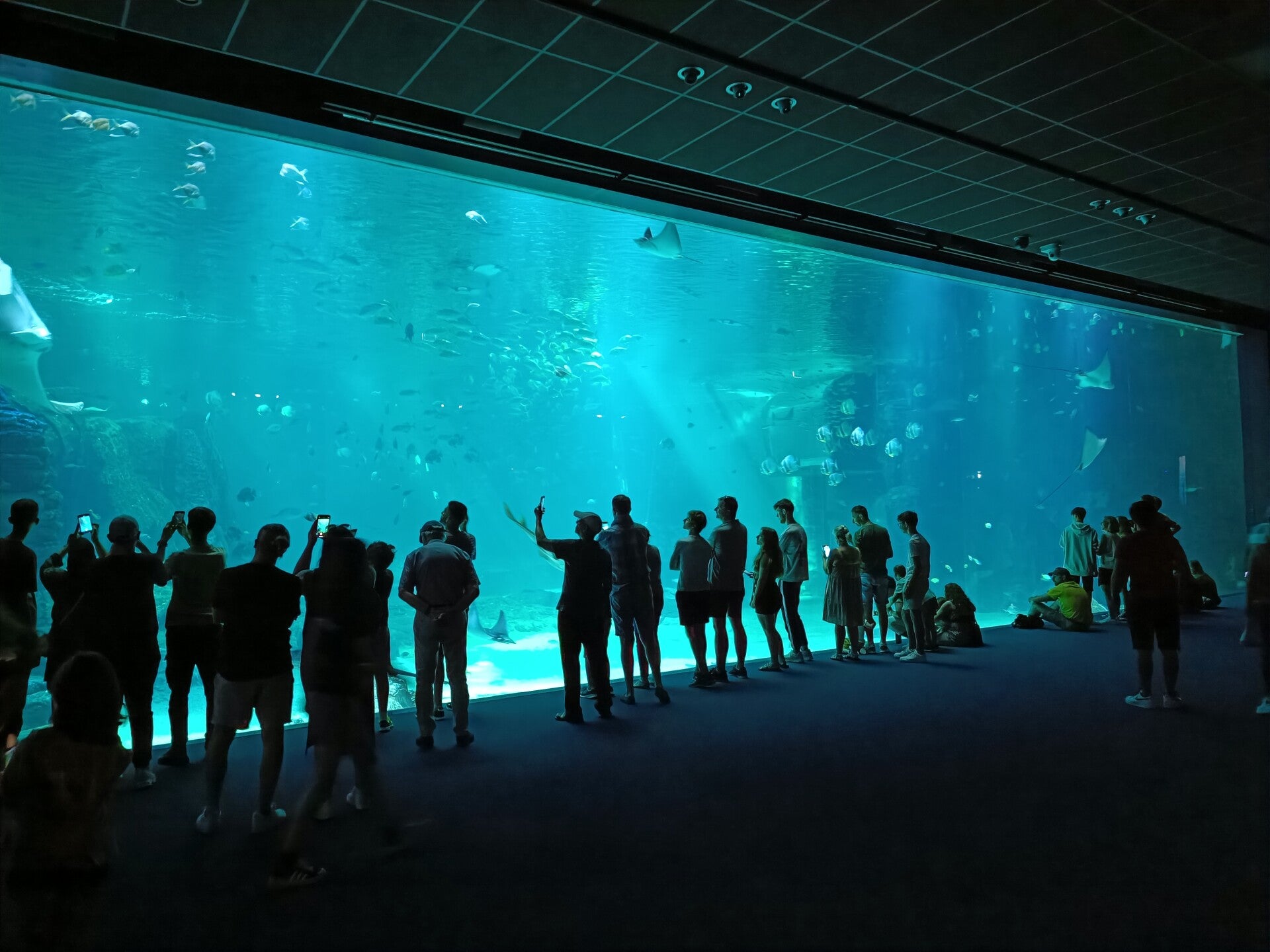 Nausicaa aquarium Frankrijk
