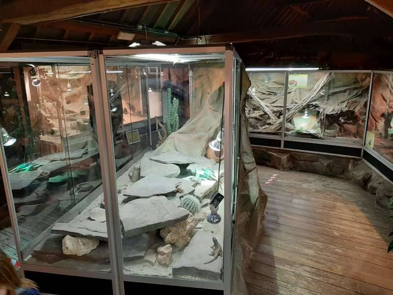 terrarium-dierenpark-de-oliemeulen-standard.jpg