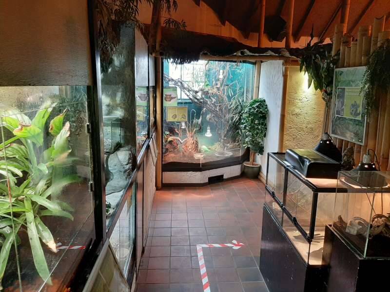 terrariums-dierenpark-de-oliemeulen-standard.jpg