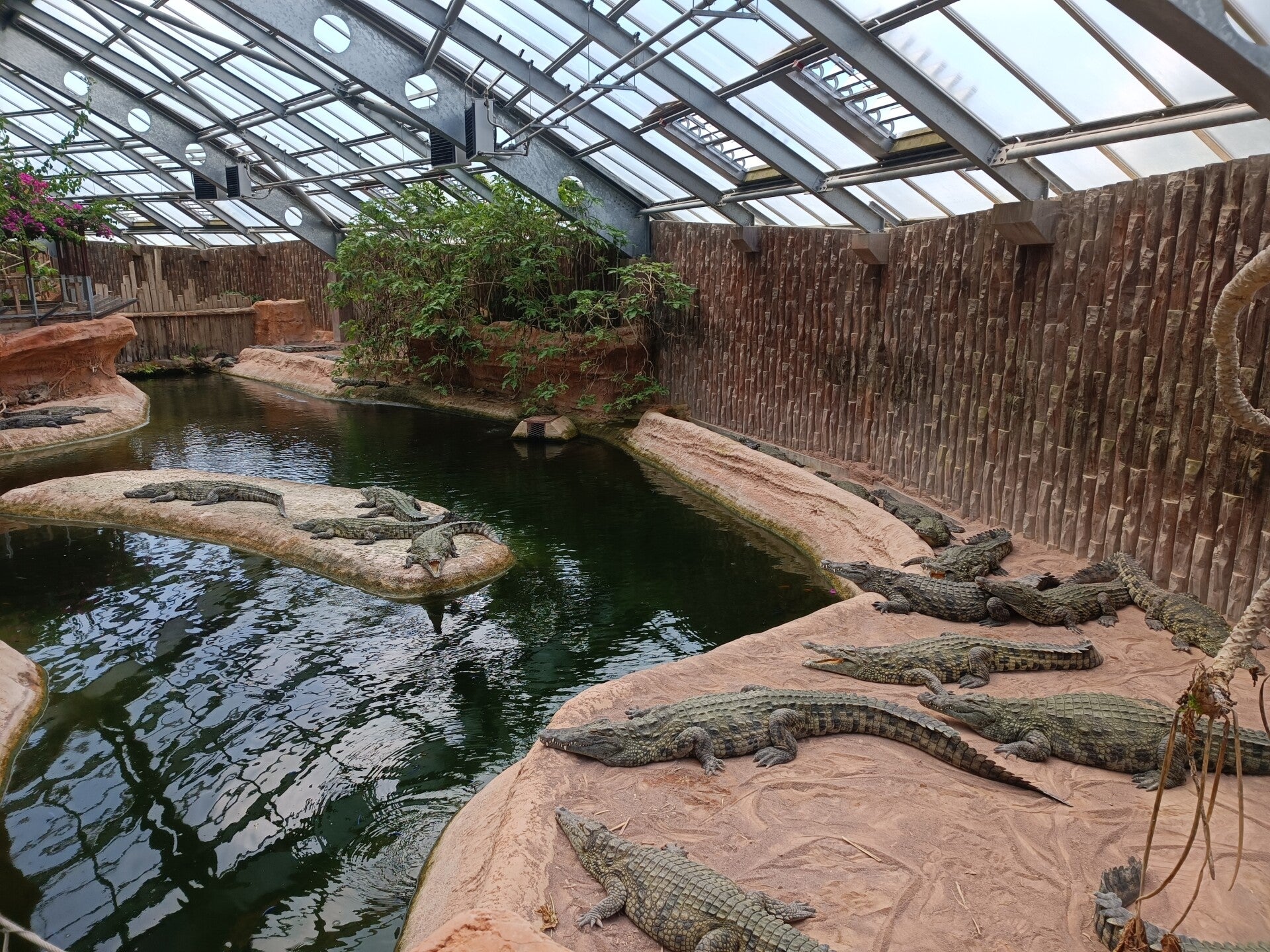 Terre de Dragons France croco