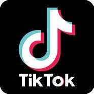 Tiktok knop om Themeparkzoo te volgen