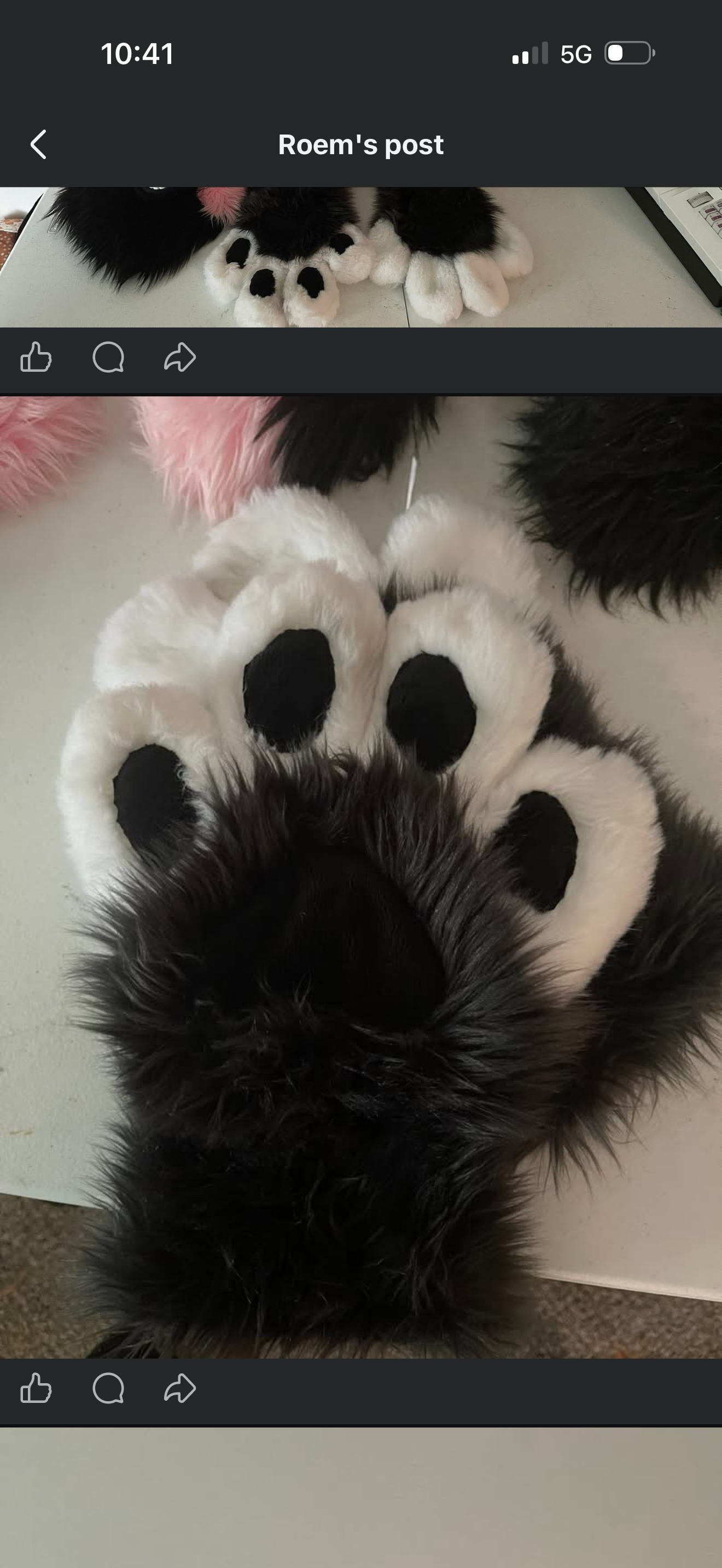 Paws