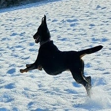 20240120_112706-4-standard.jpg