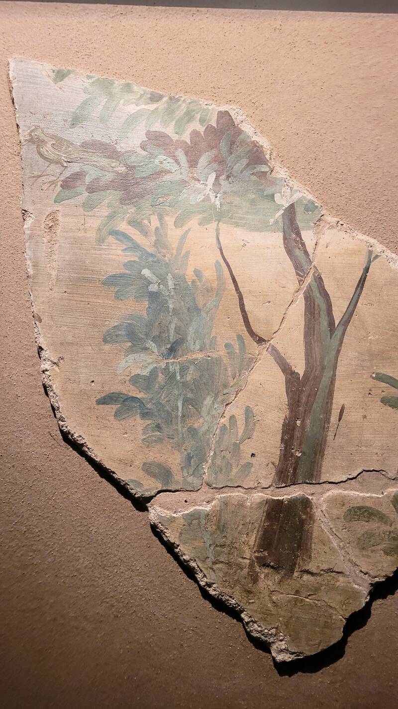 Les dernières acquisitions du musée archéologique de Strasbourg