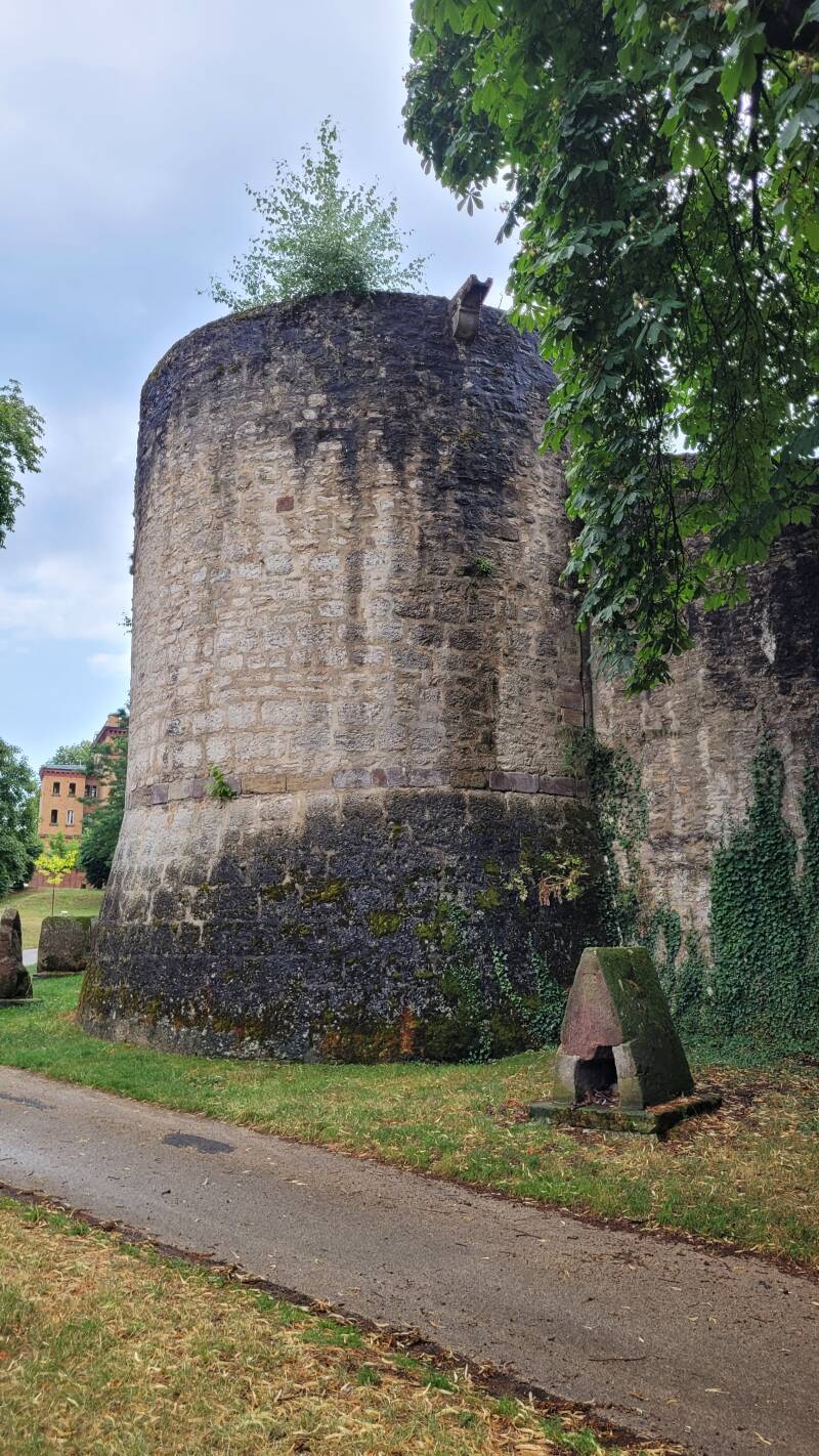 Les fortifications de Sarrebourg