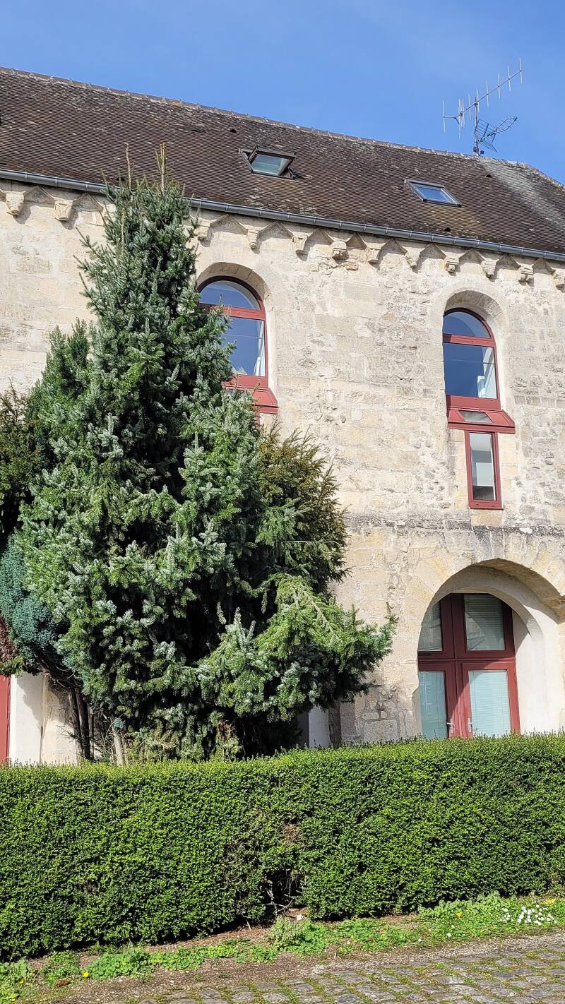 L'ancienne église Saint-Pierre-au-Marché de Laon