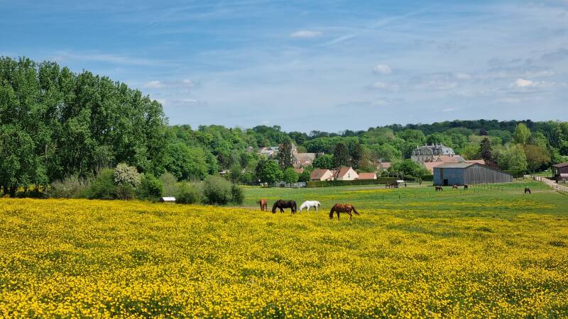 L'allée couverte du Bois-Couturier