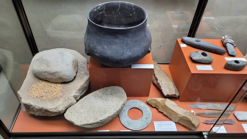 Le renouveau du musée de Sens