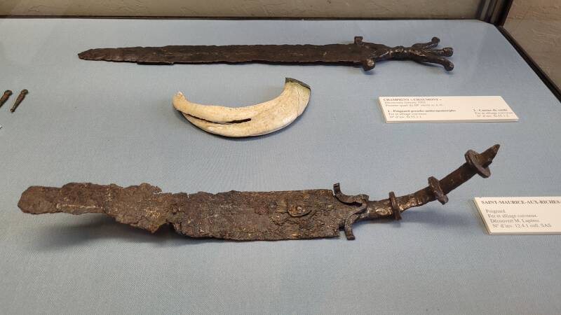 Le renouveau du musée de Sens