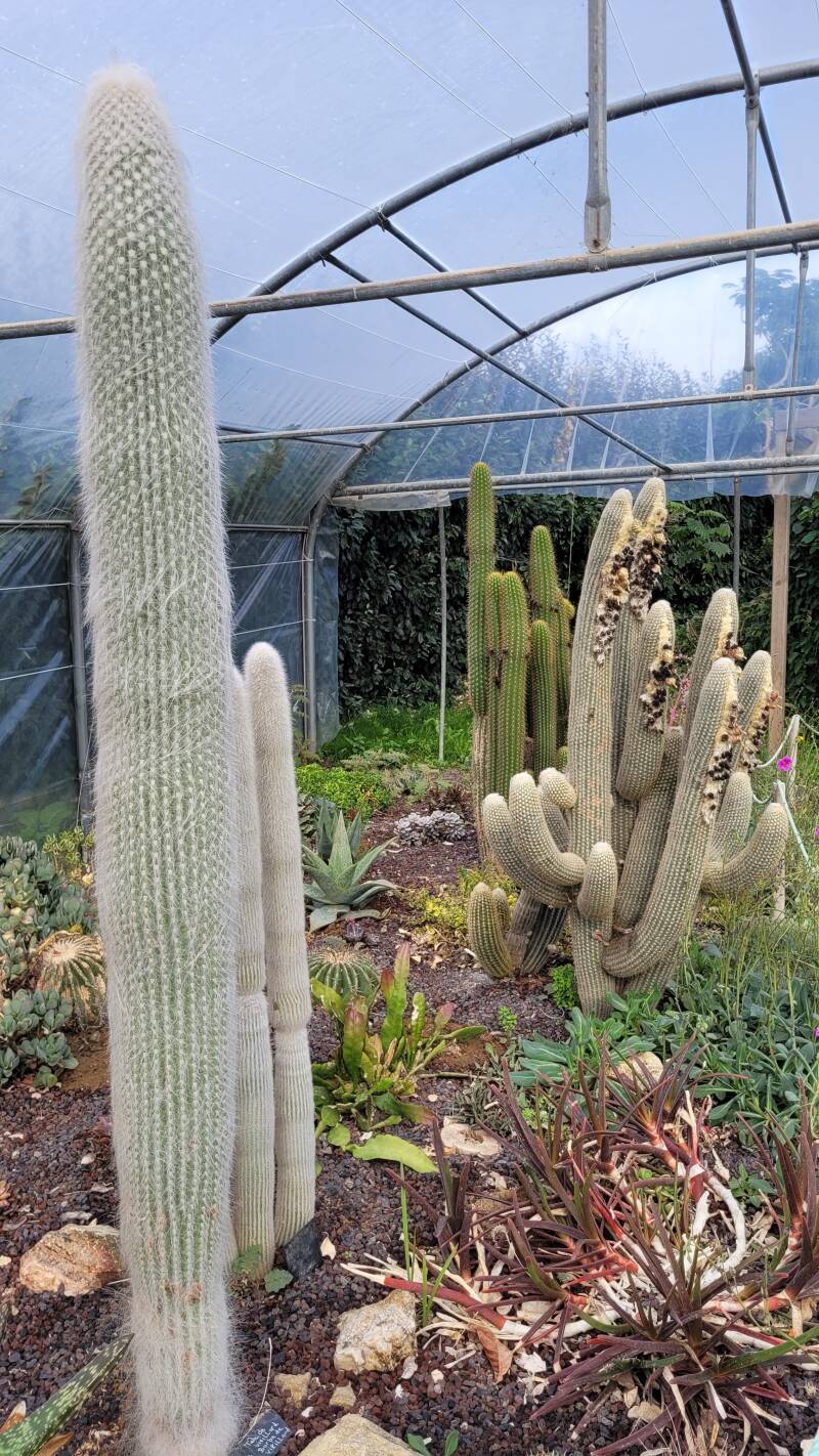 Jardin Exotique et Botanique de Roscoff