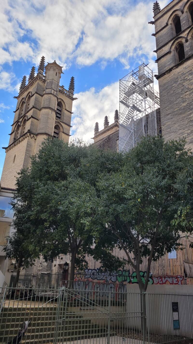Cathédrale Saint-Pierre de Montpellier