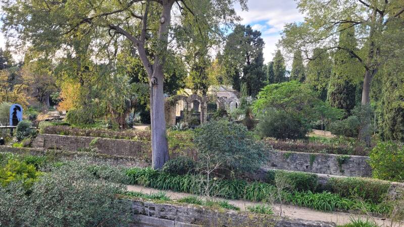 Le jardin des Plantes de Montpellier