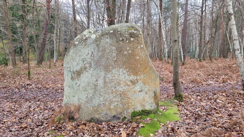 menhir des Buttes Noires
