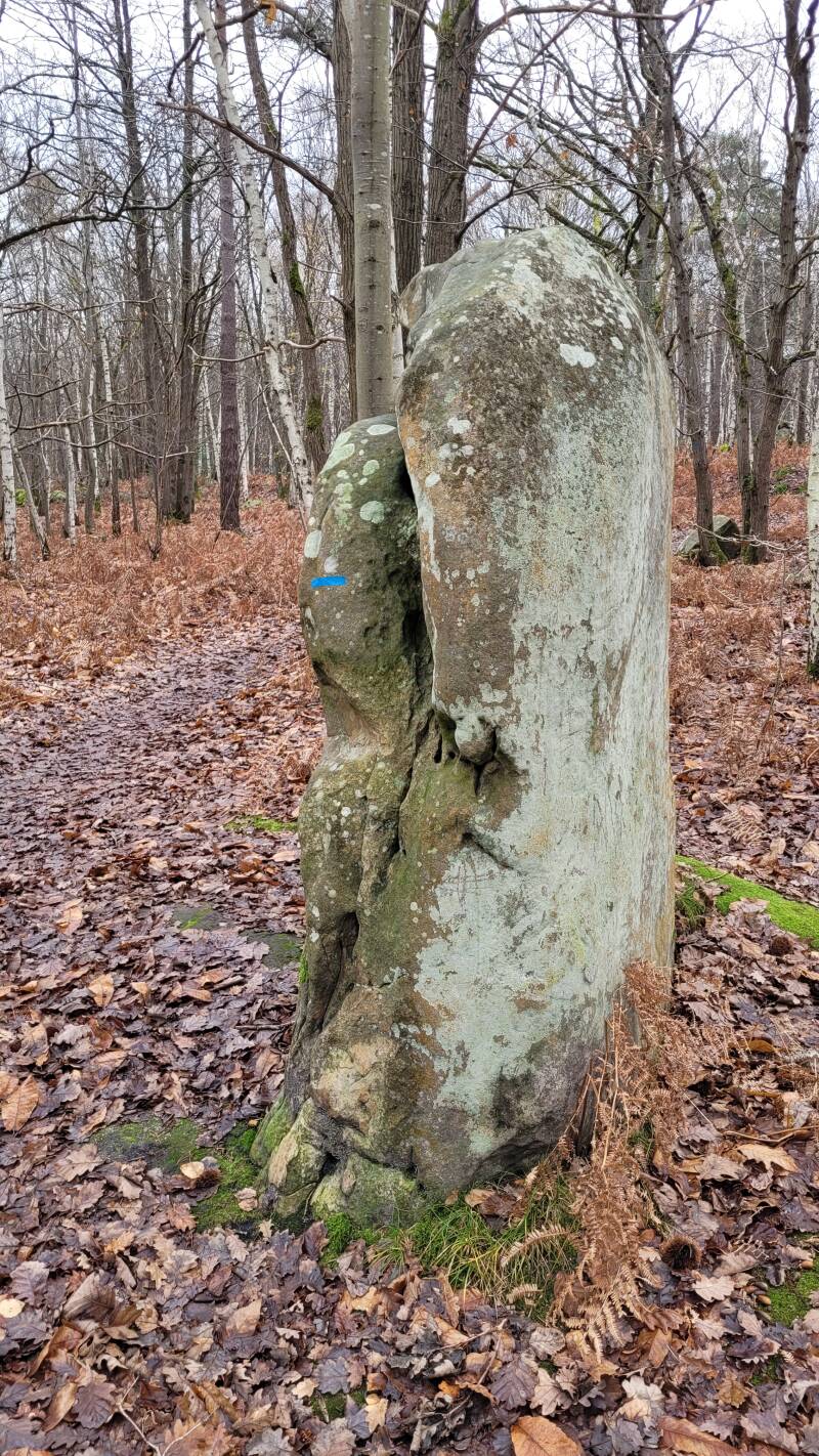 menhir des Buttes Noires
