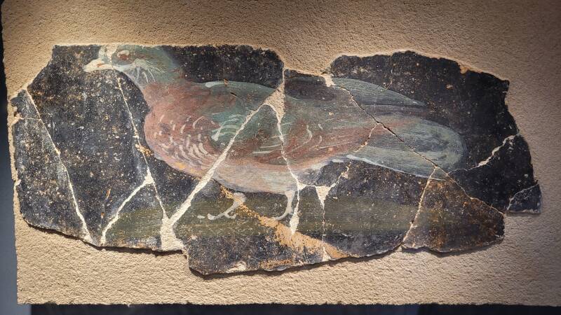 Musée Archéologique Départemental de Jublains