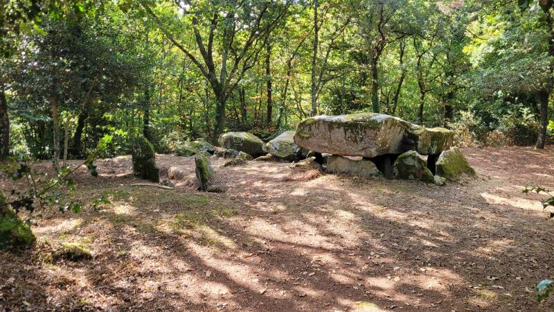Dolmen à galerie à support gravé de Mané-er-Loh, dit Mané-Bras