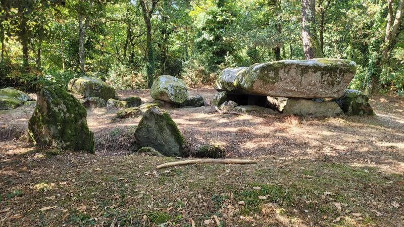 Dolmen à galerie à support gravé de Mané-er-Loh, dit Mané-Bras