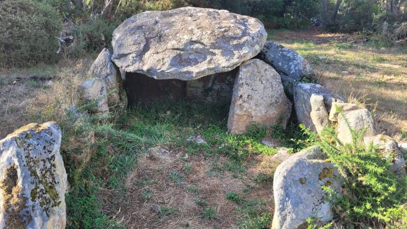 Les dolmens de Kerprovost
