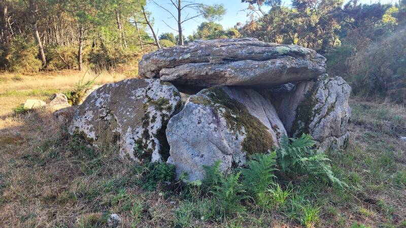 Les dolmens de Kerprovost