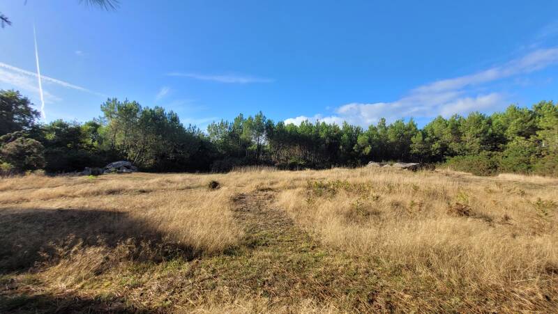 Les dolmens de Kerprovost
